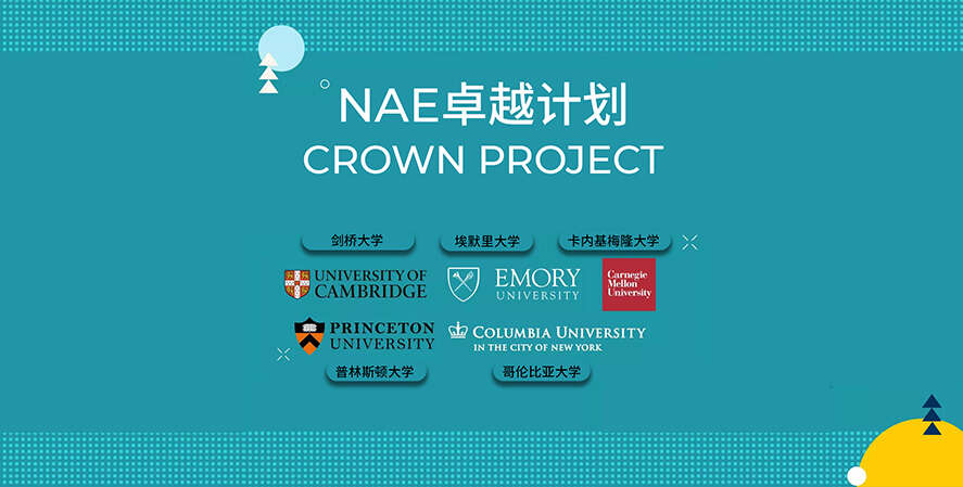 NAE CROWN PROJECT - NAE CROWN PROJECT